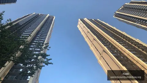 主动的收益：探索其独特收益来源指南